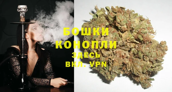 ПСИЛОЦИБИНОВЫЕ ГРИБЫ Волоколамск