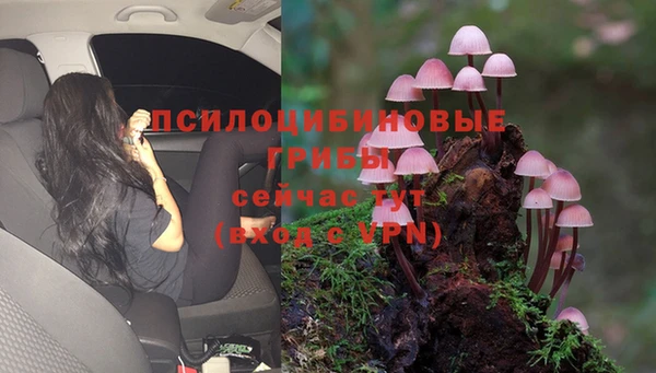 прущая мука Верхний Тагил