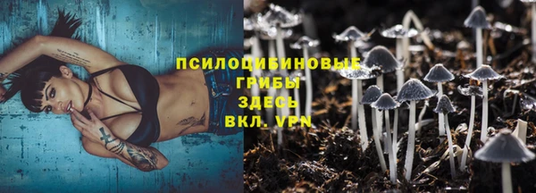 таблы Верея