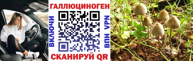 Галлюциногенные грибы Magic Shrooms  Щёлково 
